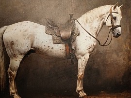 The winer of the spiritual and the physical wars the conqueror.