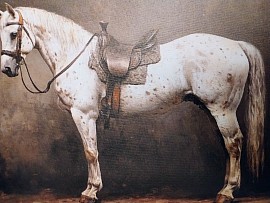 A conqueror whose bent on conquest